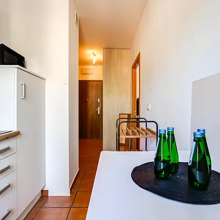 公寓 Wilda Living Stylowe 50m2 Z Balkonem 10 Min Do Pkp 波兹南